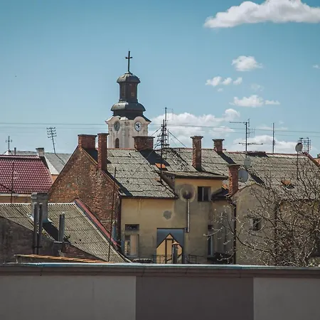 Hostel Alina Hotel&hostel Uschhorod