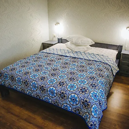 Hostel Alina Hotel&hostel *