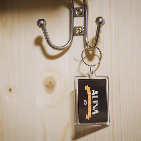Alina Hotel&hostel *