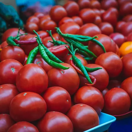 Hostel Alina Hotel&hostel *