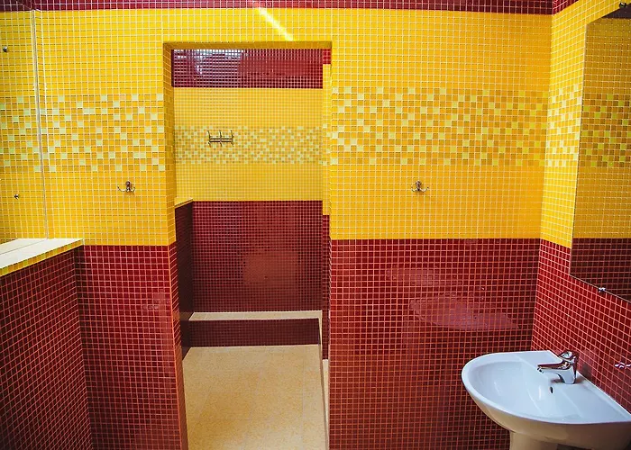 Hostel Alina & *